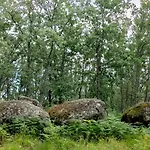 호텔 Rural San Giles 자란딜라데라베라