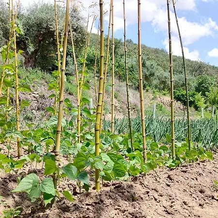 فندق Rural San Giles 3*