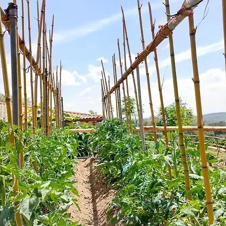 Rural San Giles فندق 3*