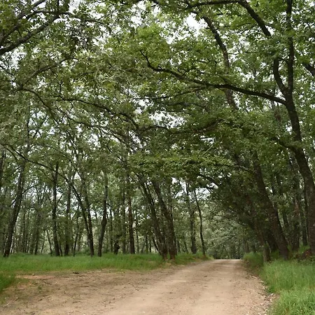 Rural San Giles 3* خارانديا دي لا فيرا