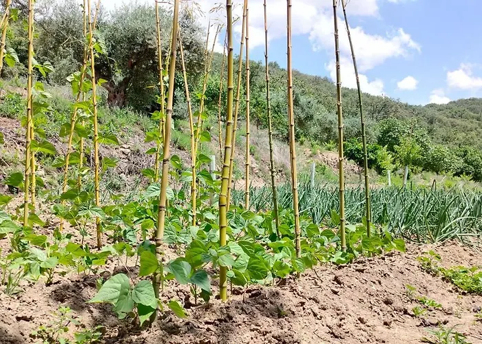 Hotel Rural San Giles 3*