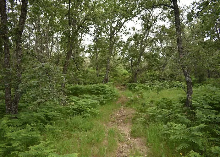 Rural San Giles Hotel 3*