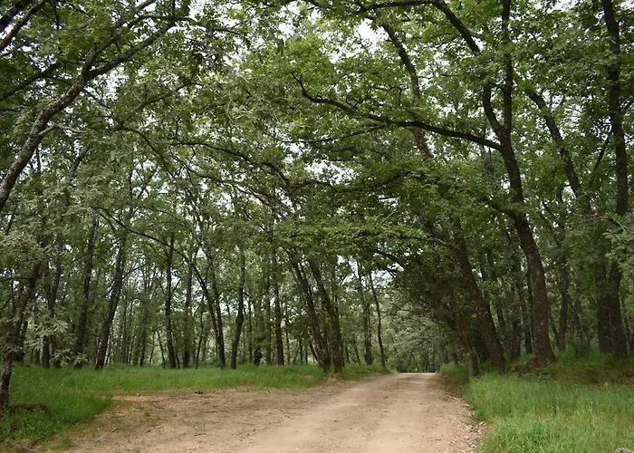 Rural San Giles 3* Jarandilla de la Vera