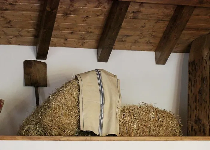 Rural San Giles מלון